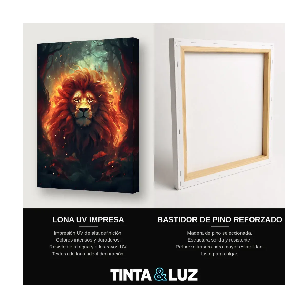 LEÓN DE FUEGO