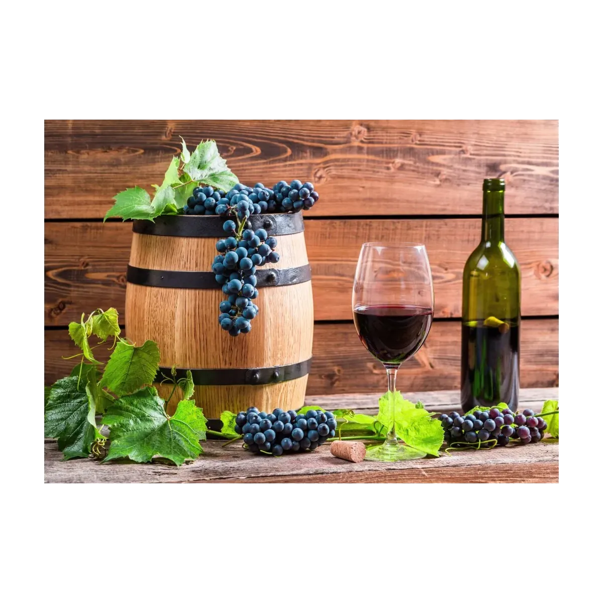 VINO Y QUESO