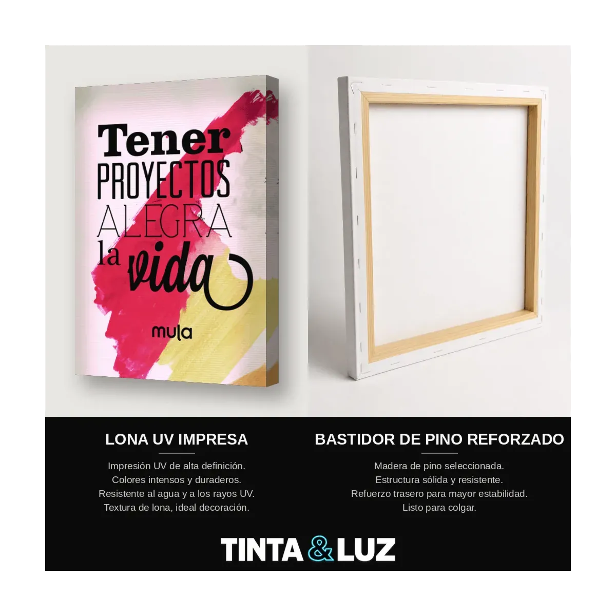 TENER PROPÓSITO