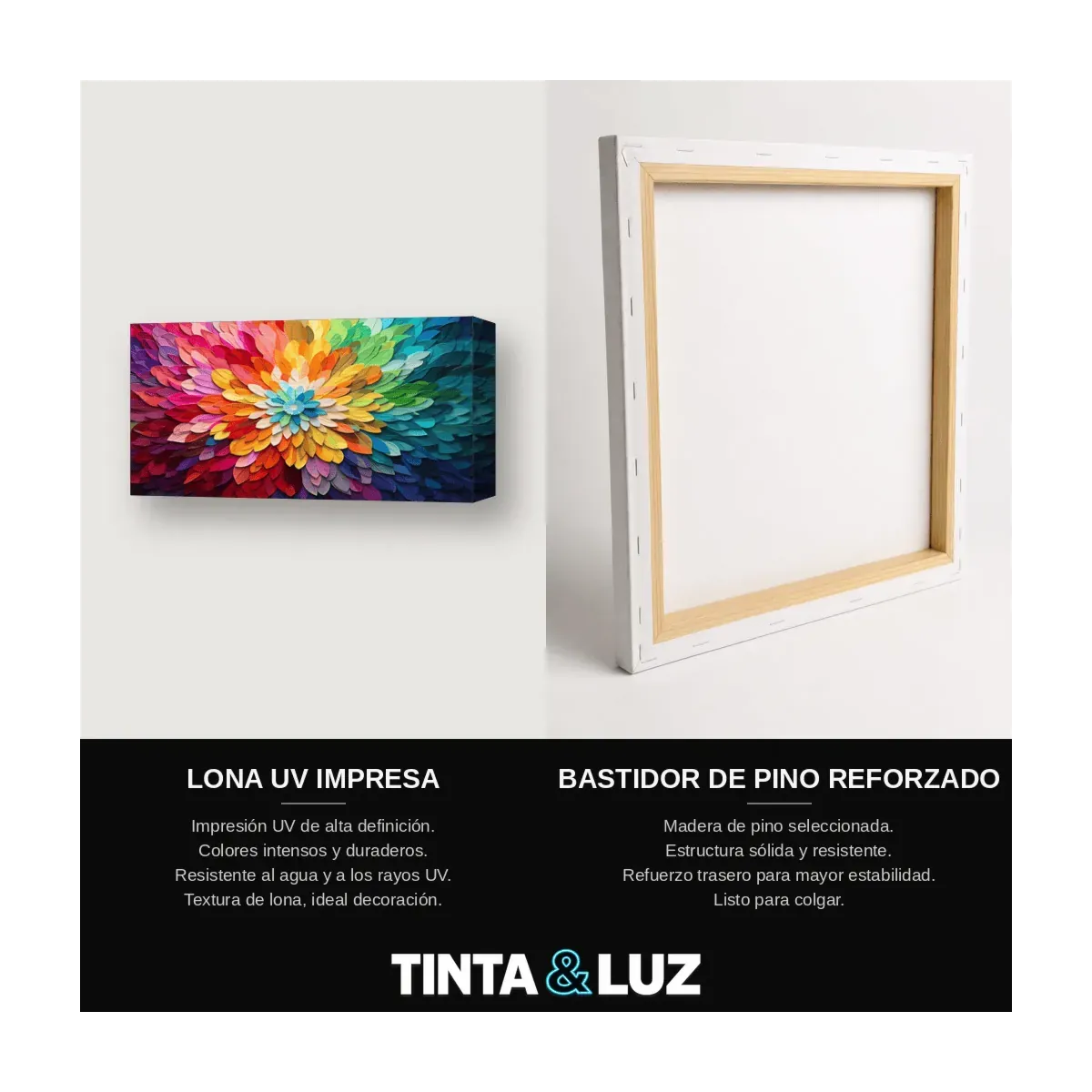 EXPLOSIÓN DE COLOR