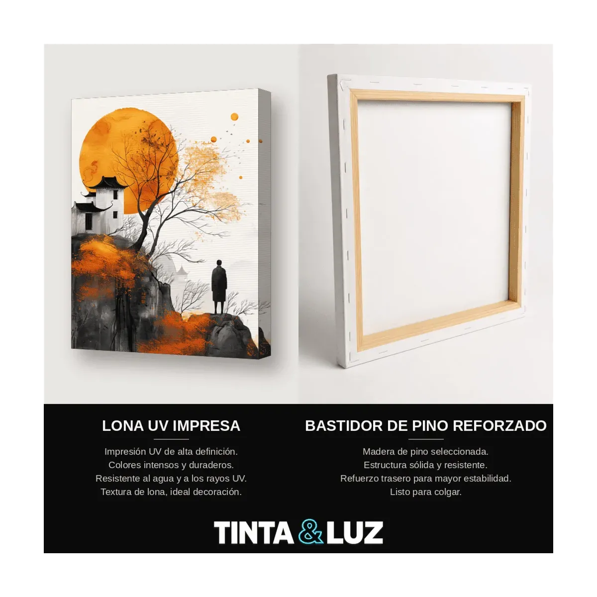 VIAJERO Y LUNA