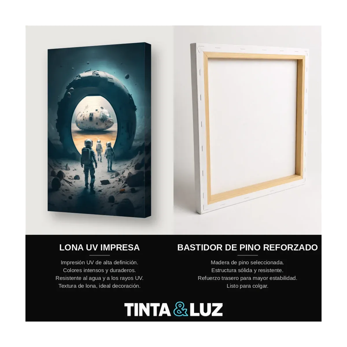 ASTRONAUTAS EN LA LUNA