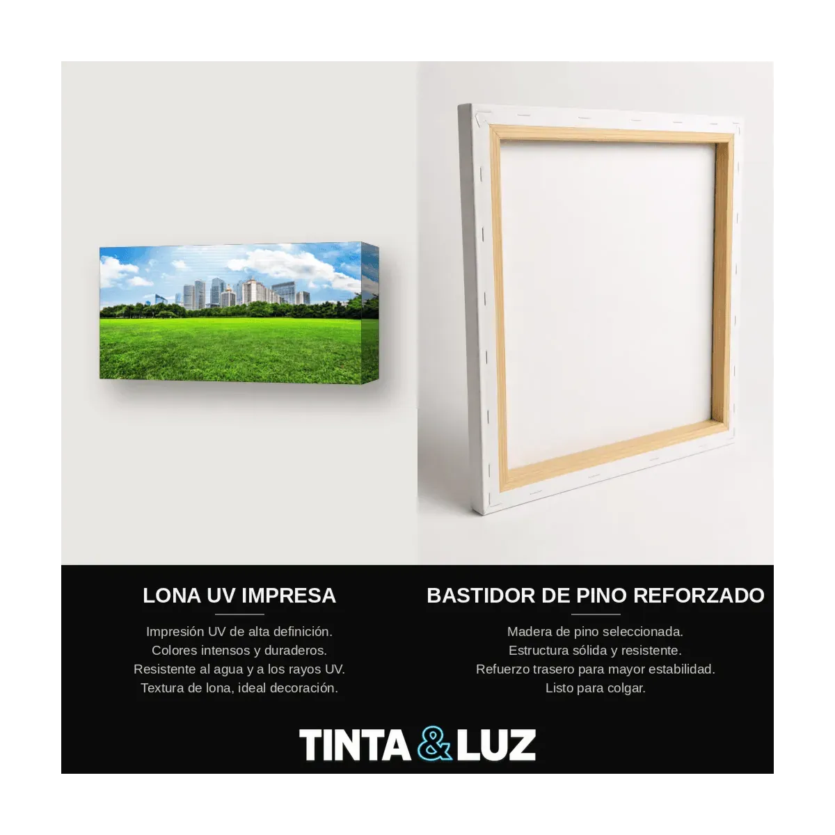 PRADERA Y CIUDAD