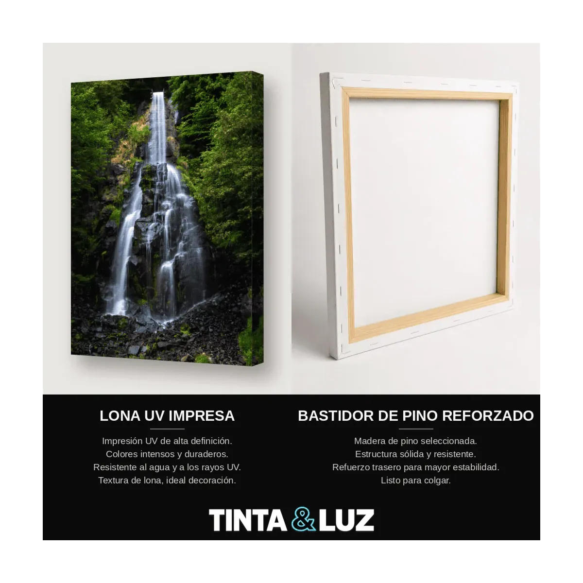 CASCADA EN LA SELVA
