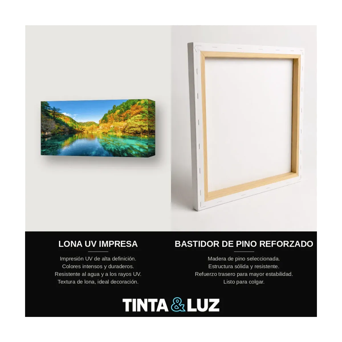 PRADERA INFINITA