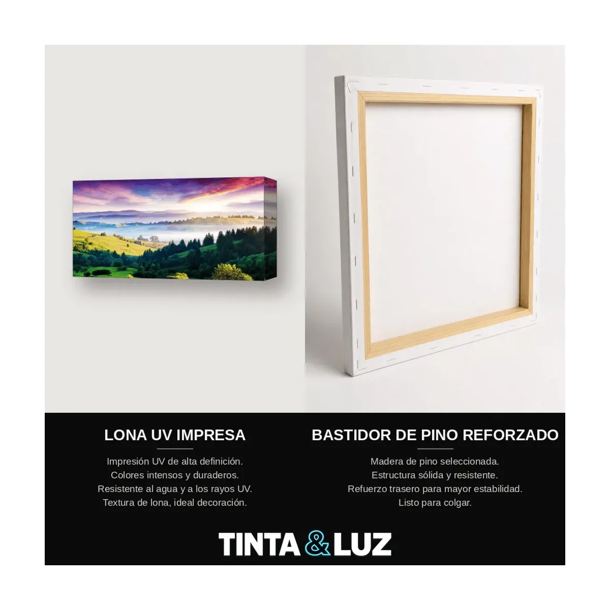 BOSQUE PROFUNDO