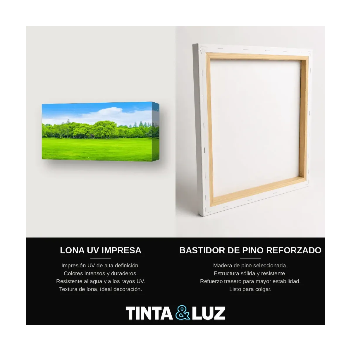BOSQUE DORADO