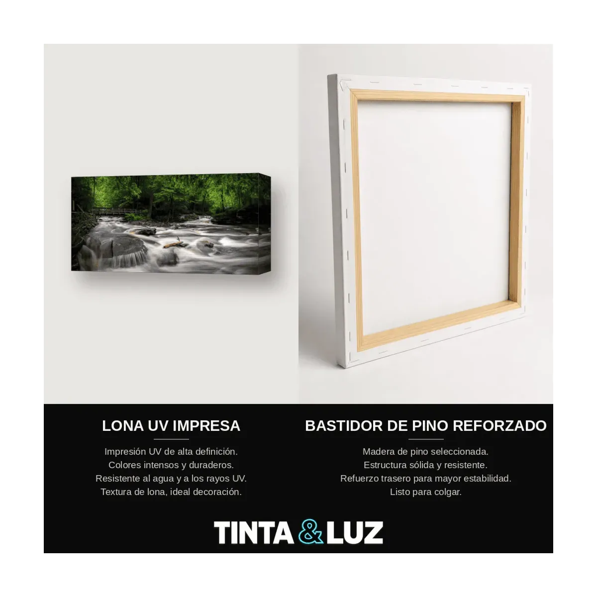 BOSQUE OTOÑAL