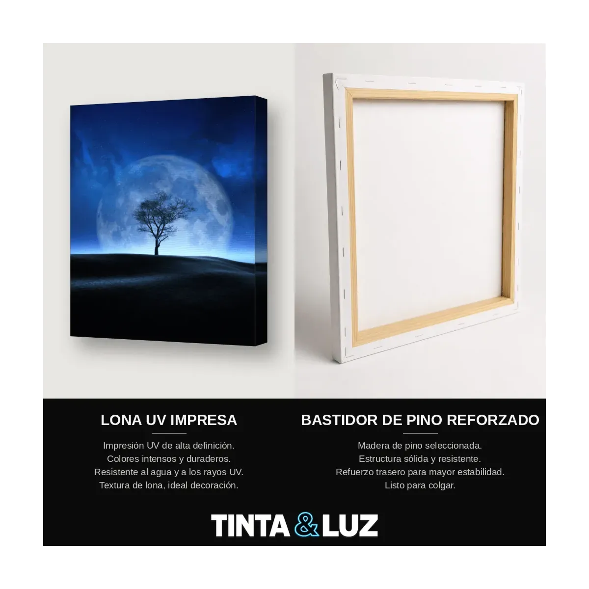 ÁRBOL Y VÍA LÁCTEA