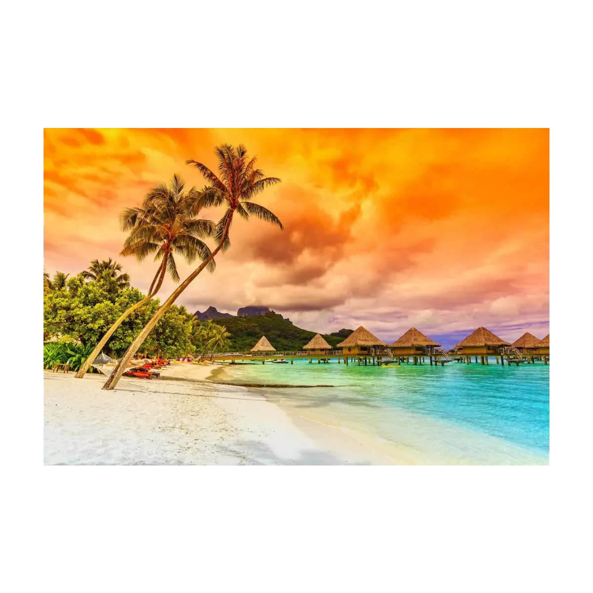 PALMERAS Y SOL