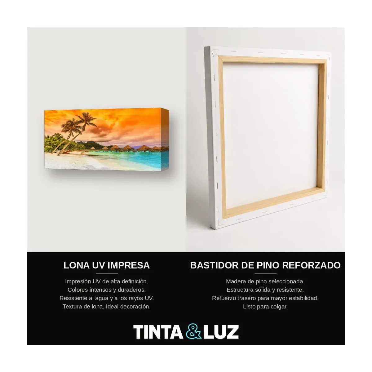 PALMERAS Y SOL