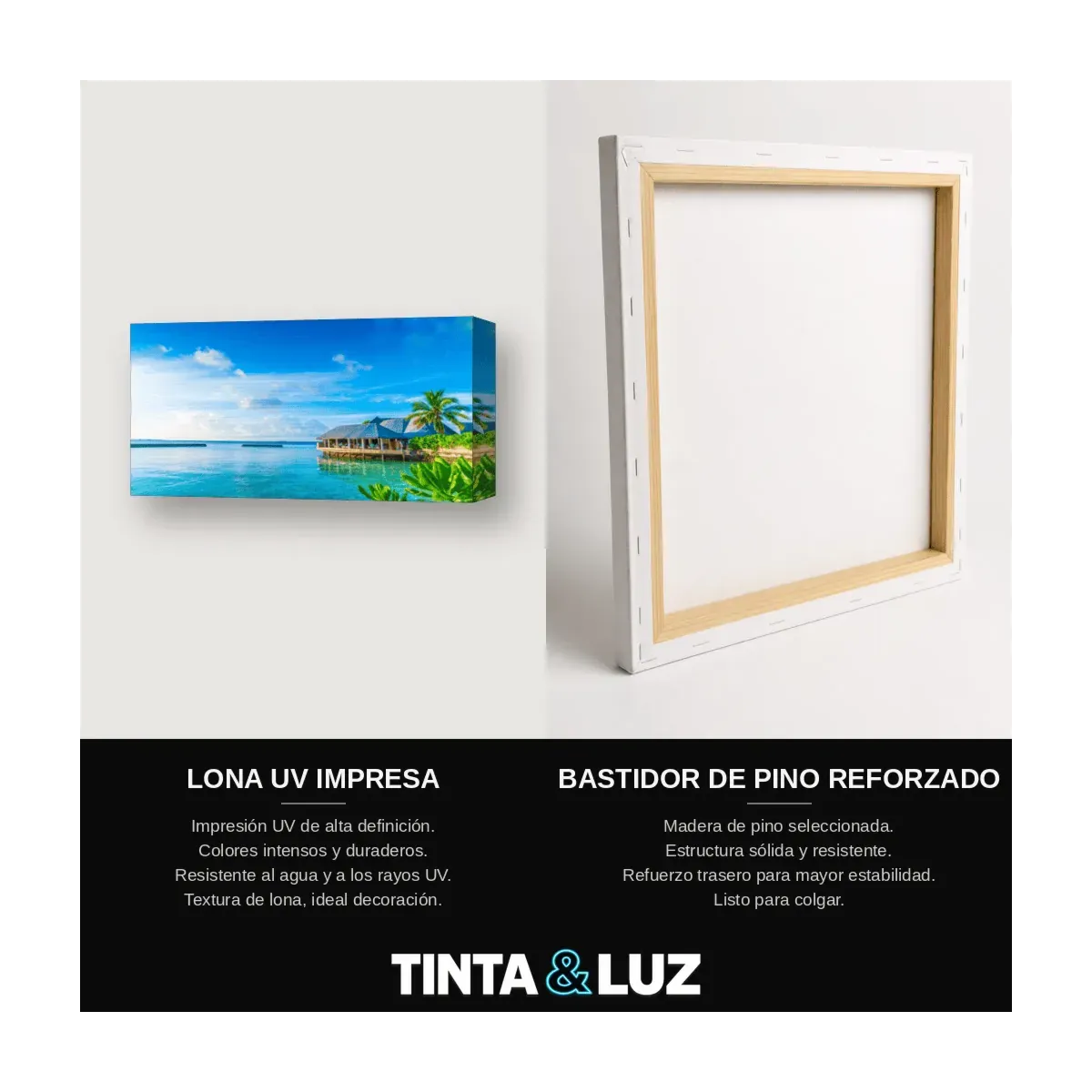 MUELLE TROPICAL