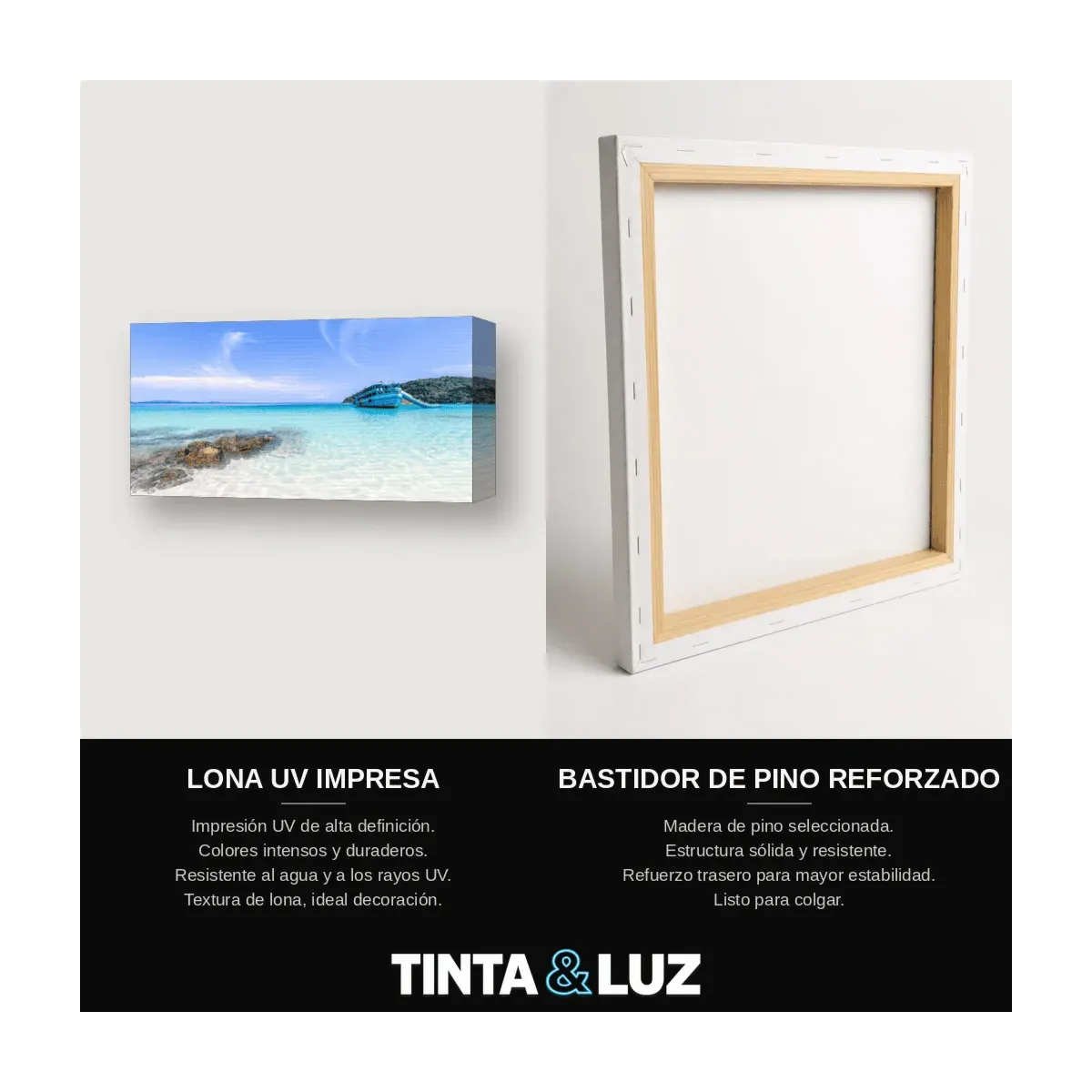 PALMERA Y LAGUNA