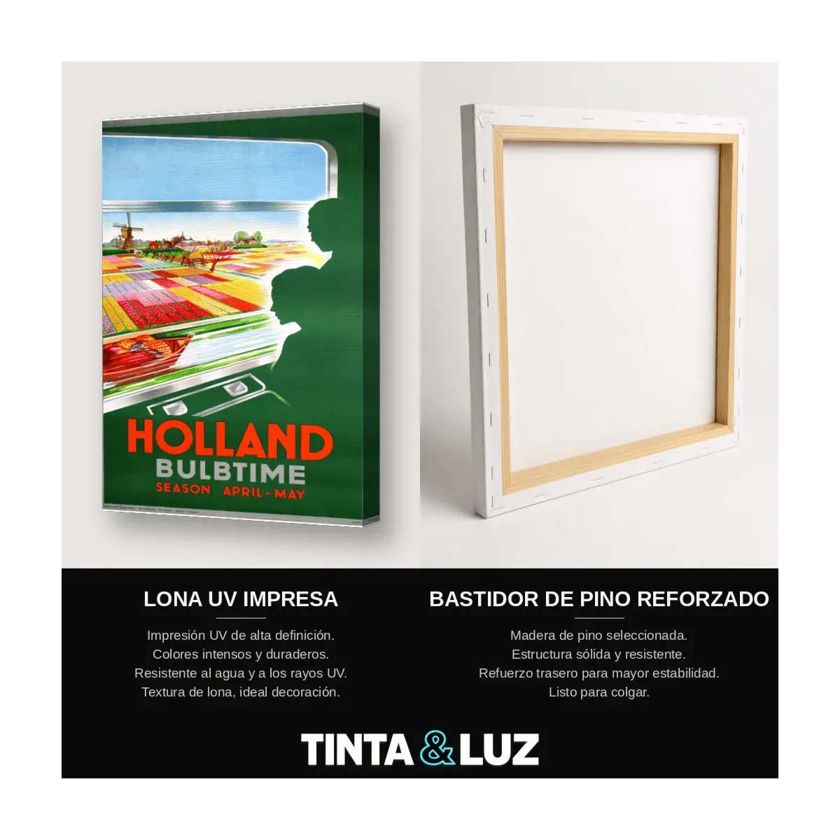 HOLLAND BULBTIME
