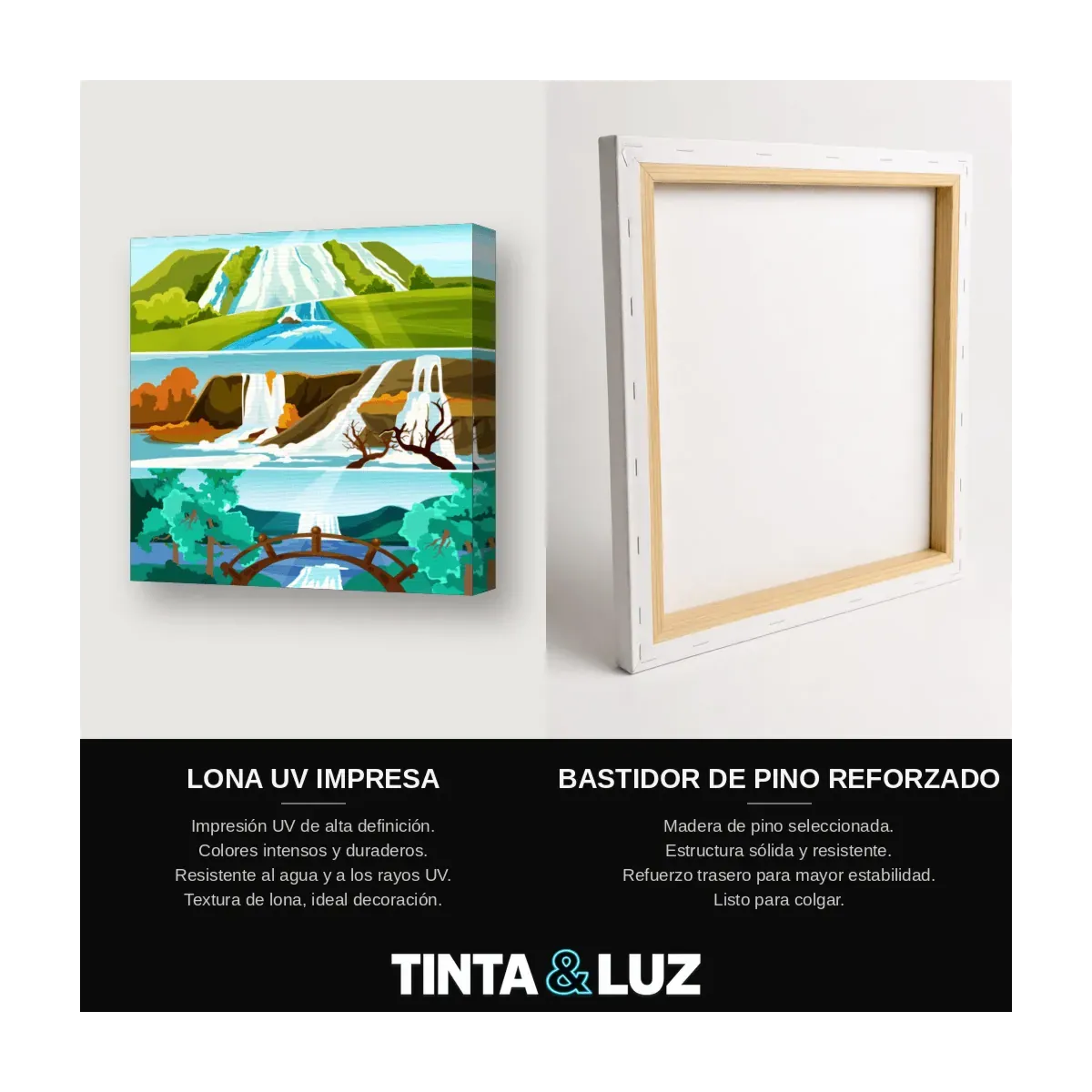 BOSQUE VECTORIAL