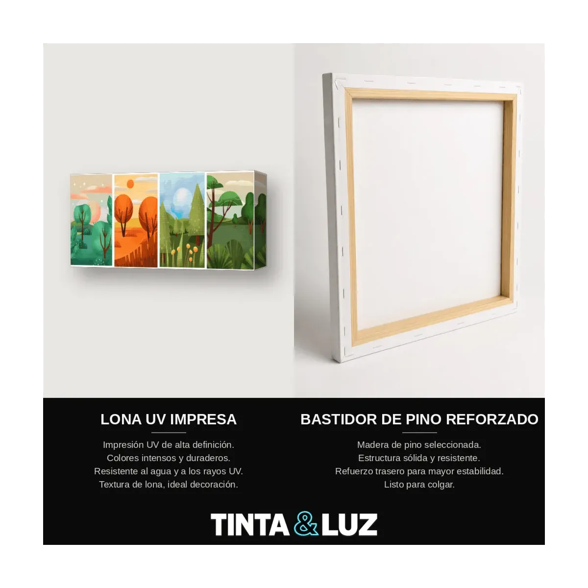 BOSQUE ILUSTRADO