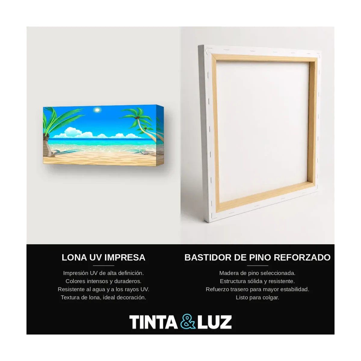 PRADERA Y CIELO VECTOR