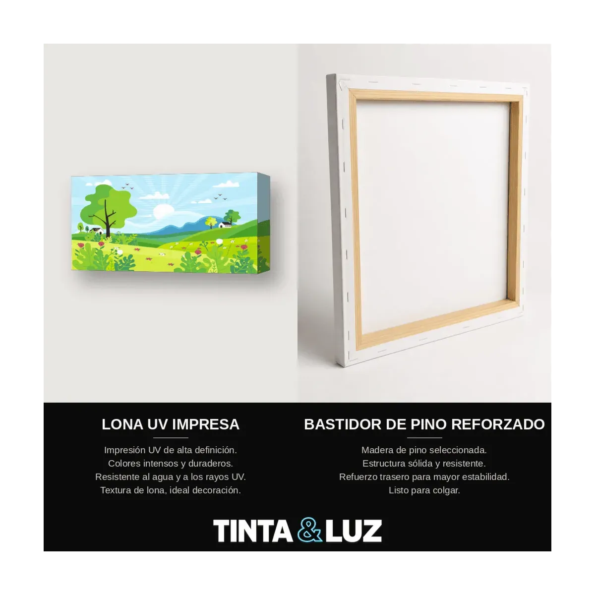 PRADERA ILUSTRADA