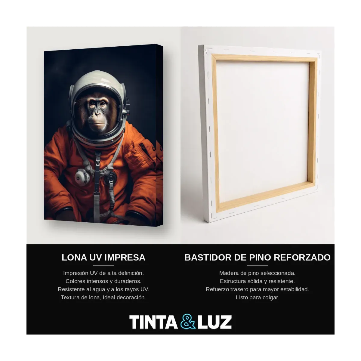 MONO ASTRONAUTA