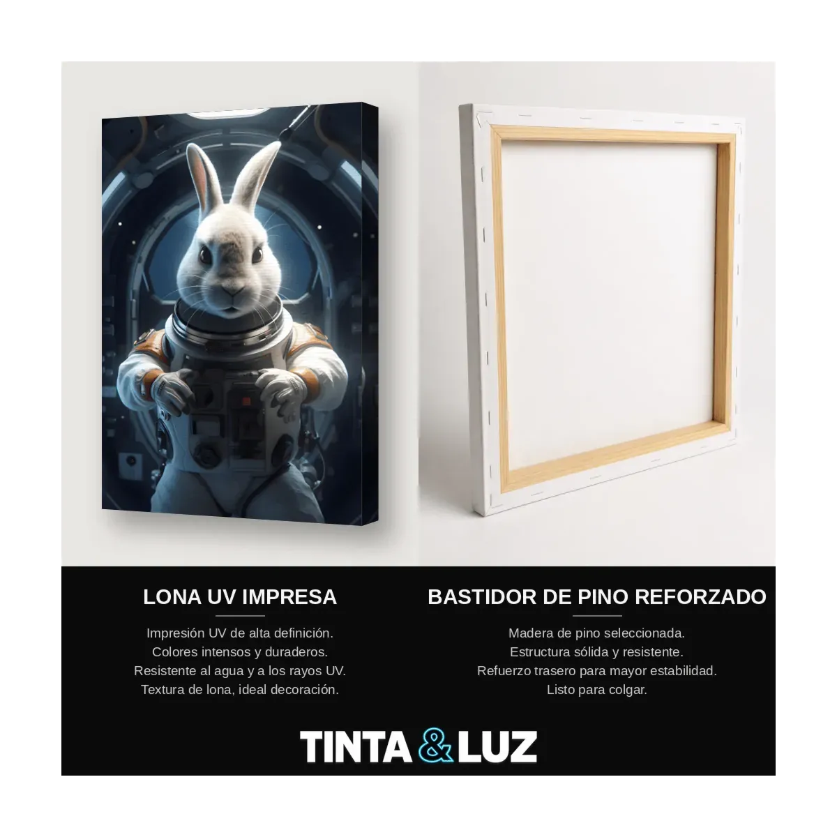 CONEJO ASTRONAUTA
