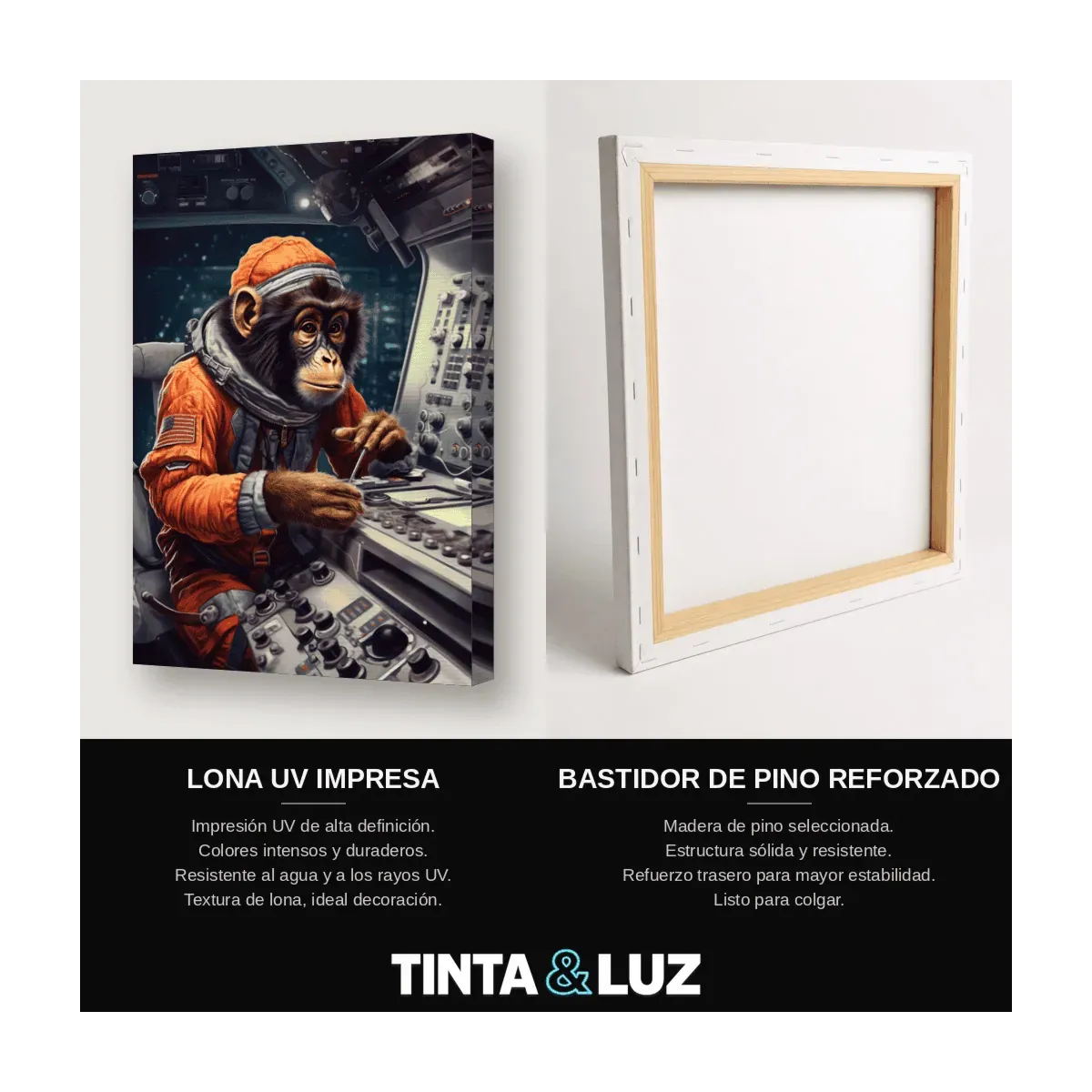 CHIMPANCÉ ASTRONAUTA