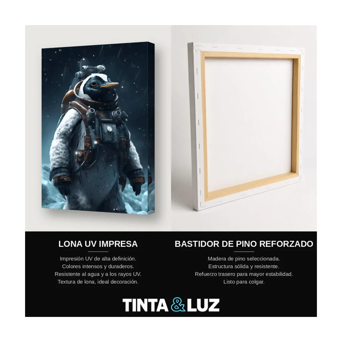 PINGÜINO ASTRONAUTA