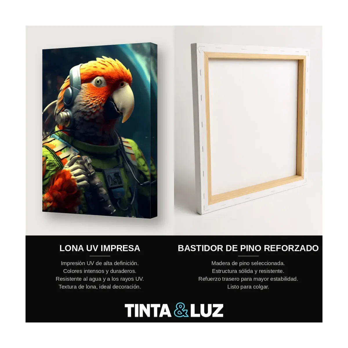 LORO ASTRONAUTA