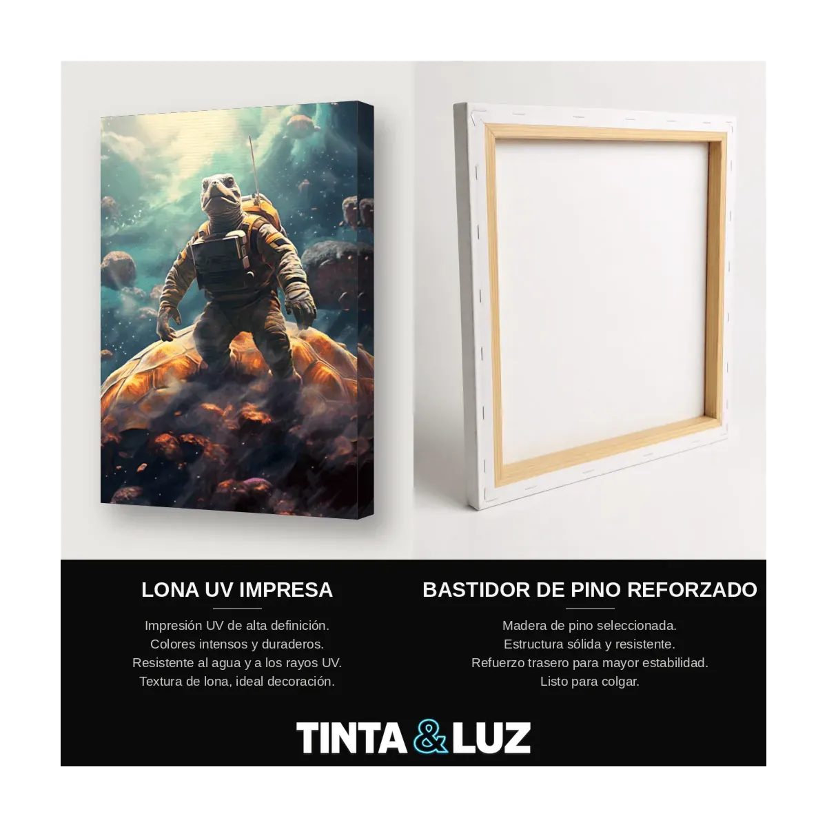 TORTUGA ASTRONAUTA