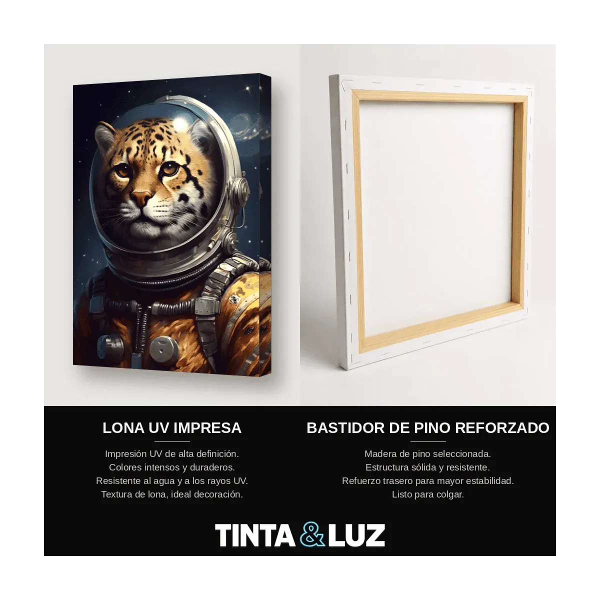 LEOPARDO ASTRONAUTA