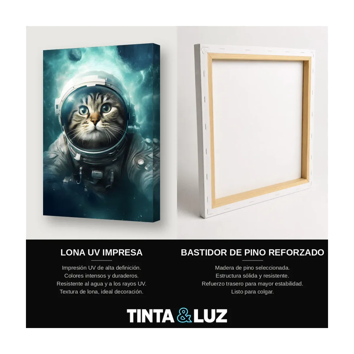 GATO ASTRONAUTA