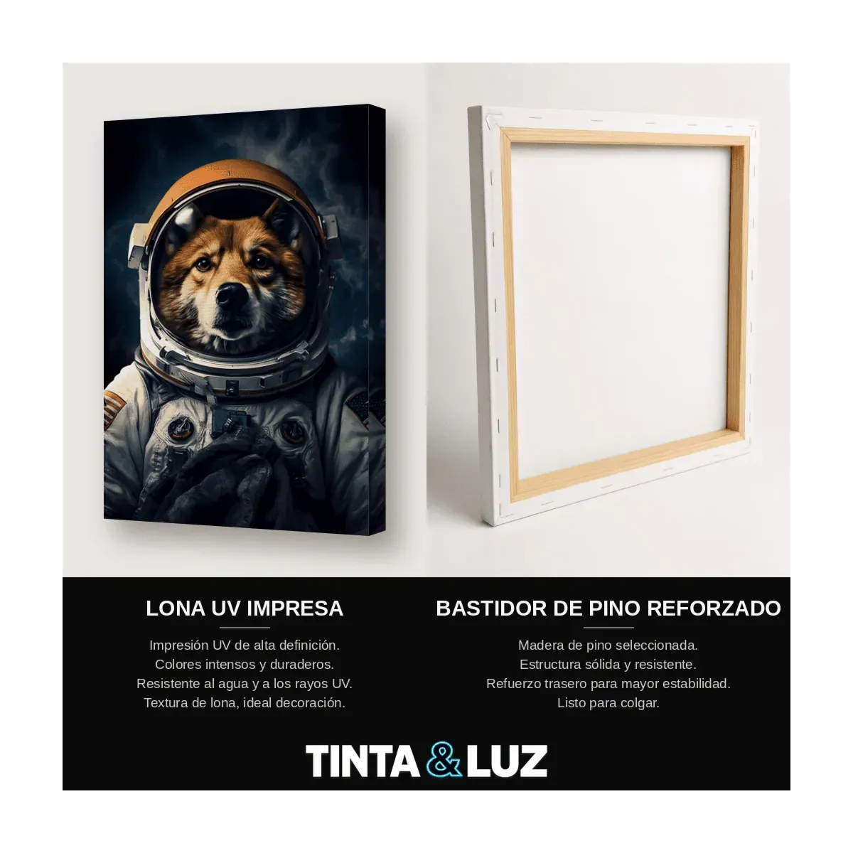 PERRO ASTRONAUTA