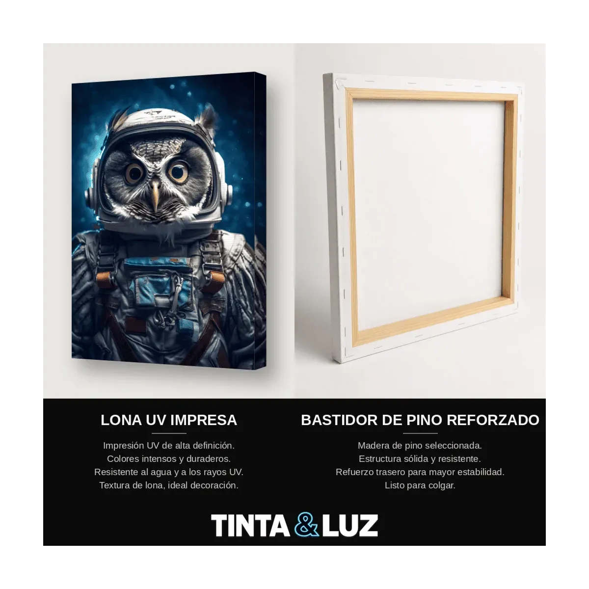 BÚHO ASTRONAUTA