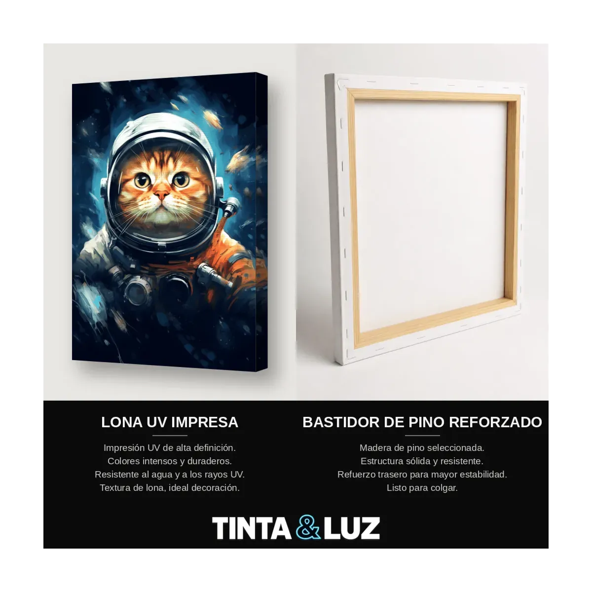 GATO NARANJA ASTRONAUTA