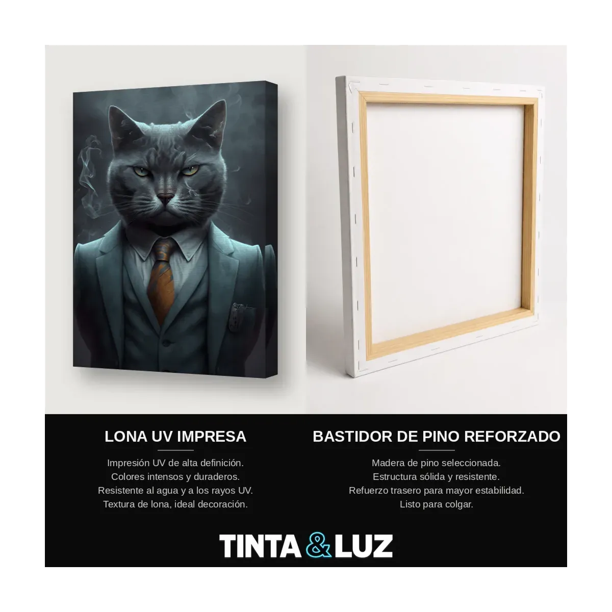GATO EJECUTIVO