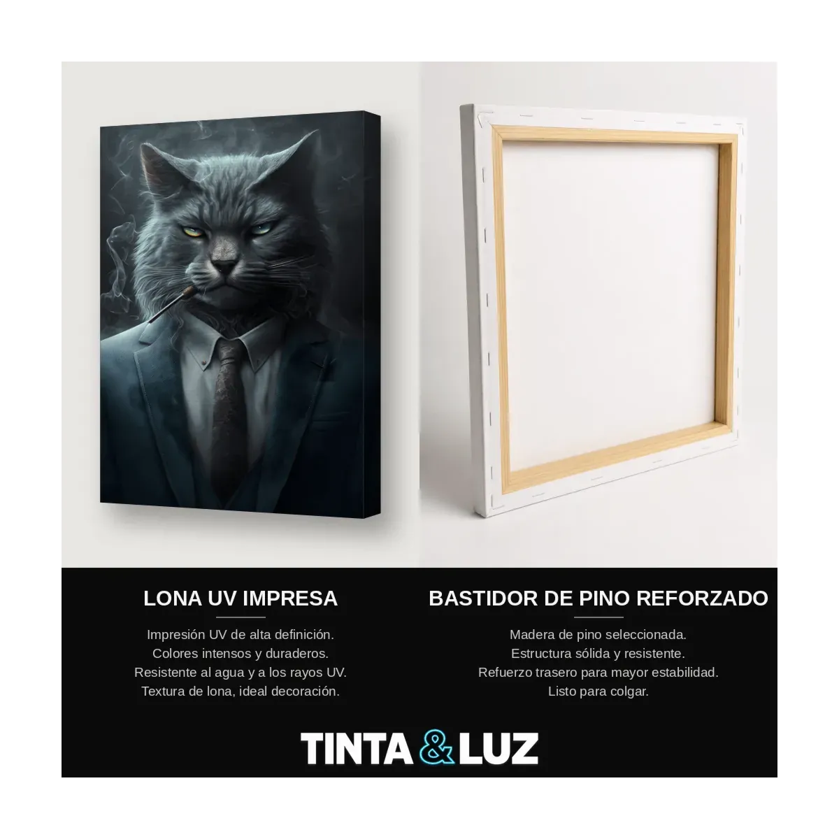GATO GRIS DE TRAJE