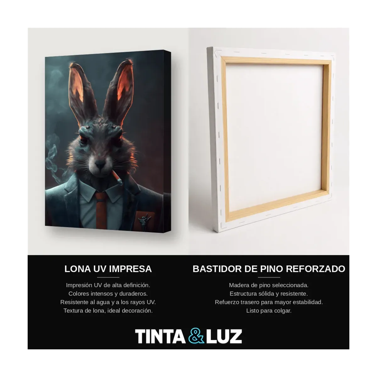 CONEJO DE NEGOCIOS