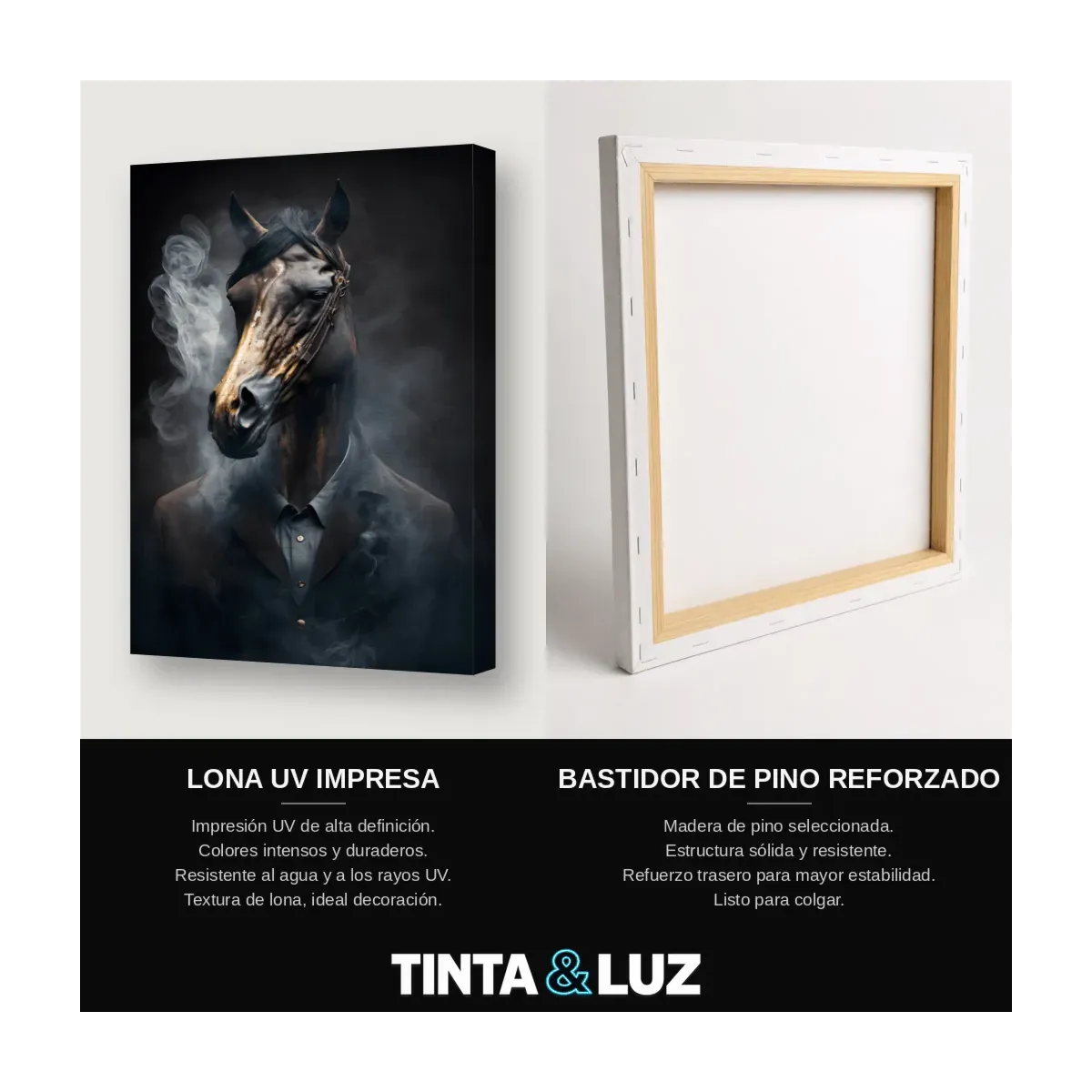 CABALLO DE NEGOCIOS
