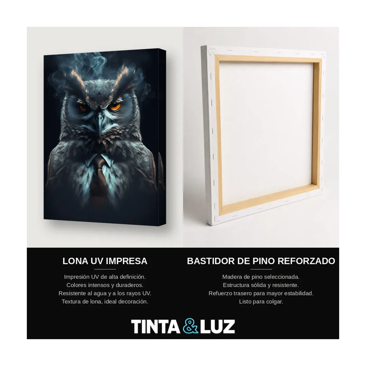 BÚHO DE TRAJE