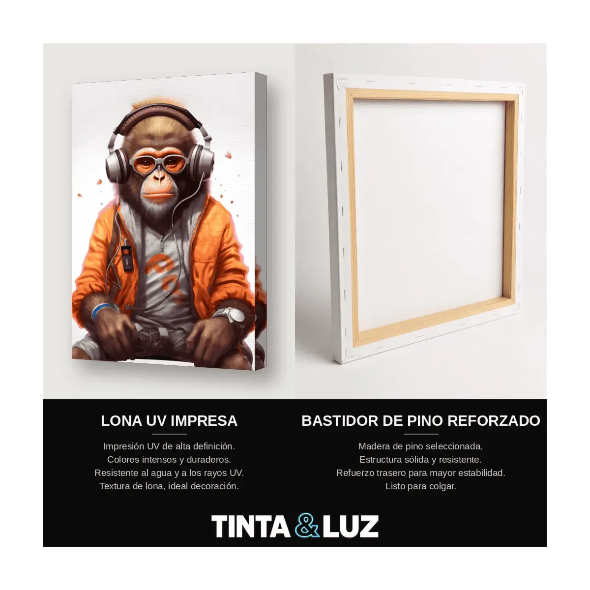 CHIMPANCÉ ESPACIAL