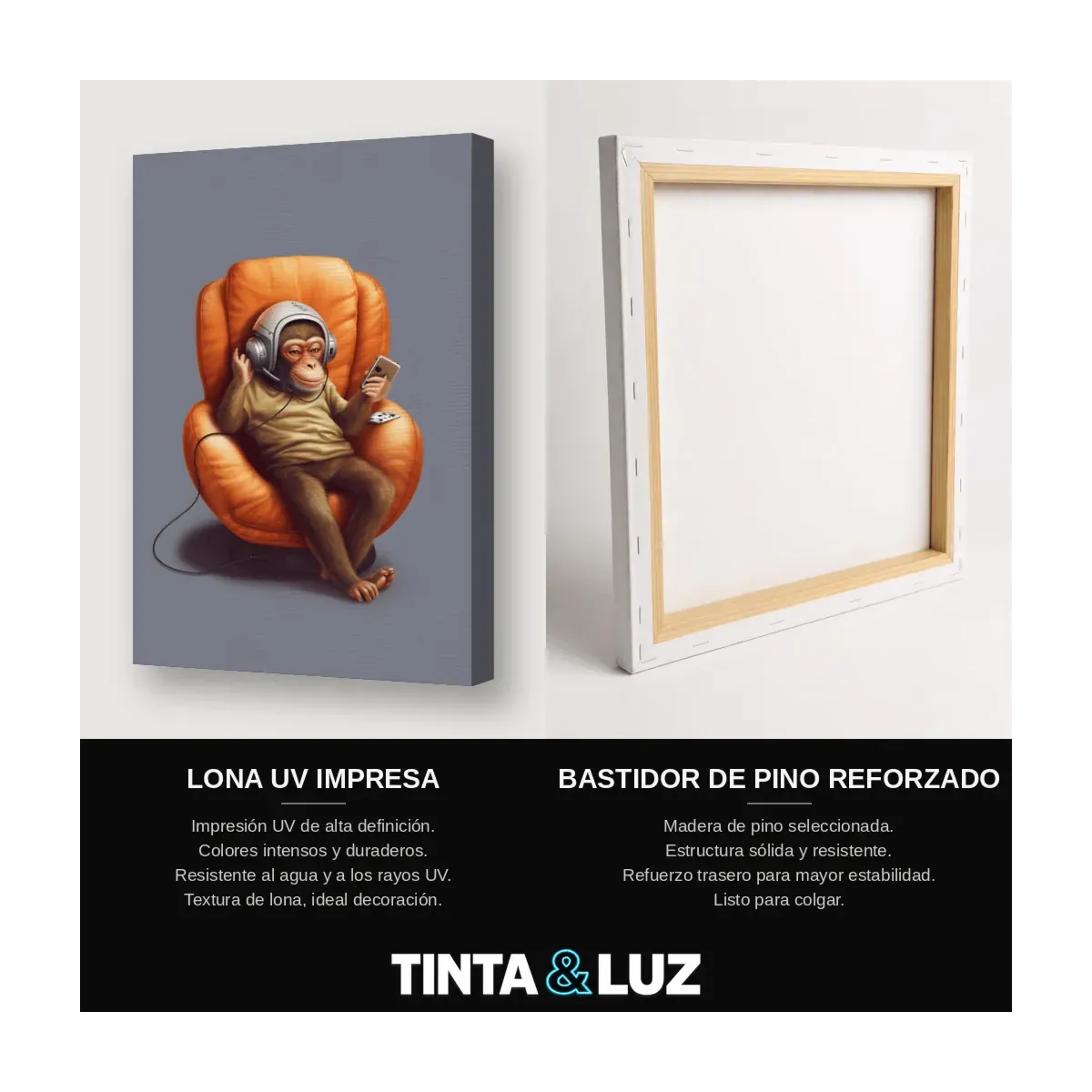 BEBÉ ORANGUTÁN II