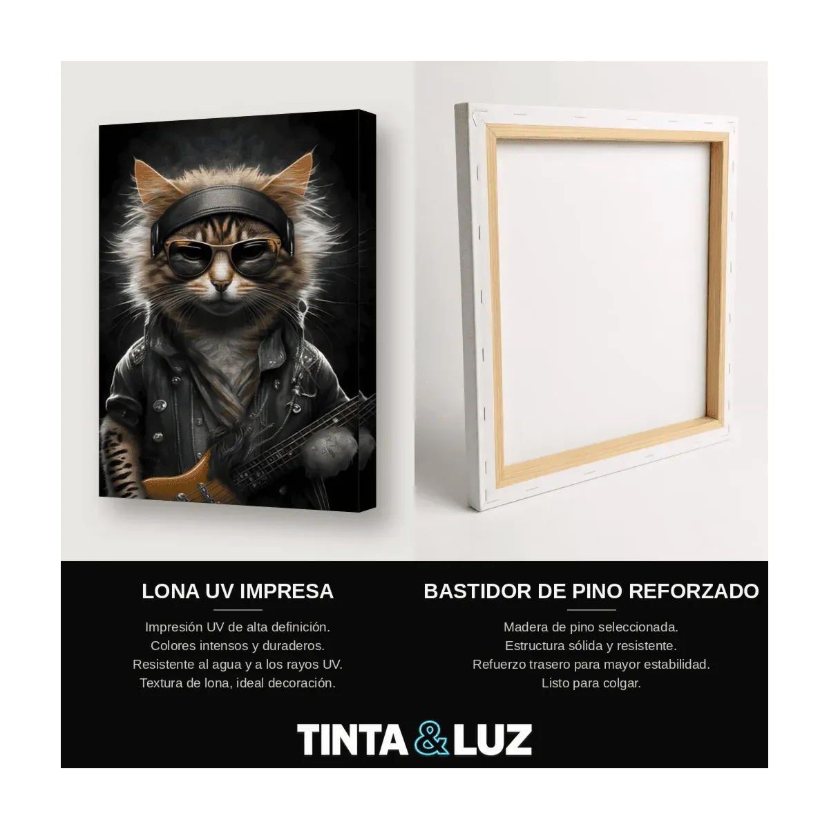 GATO ROCKERO