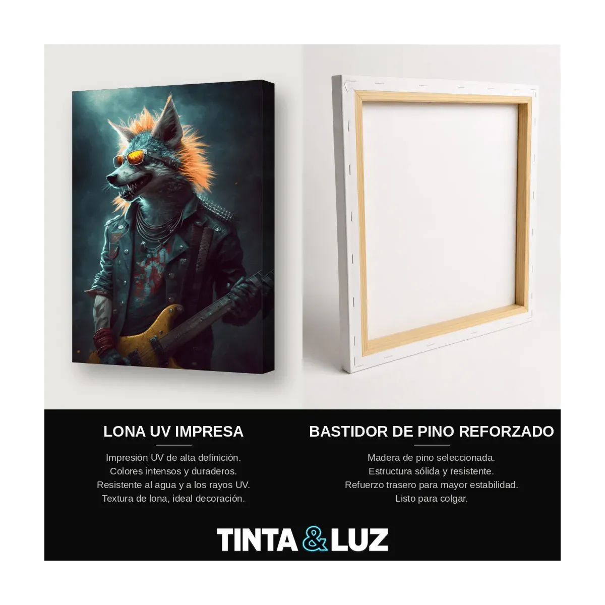 ZORRO GUITARRISTA II