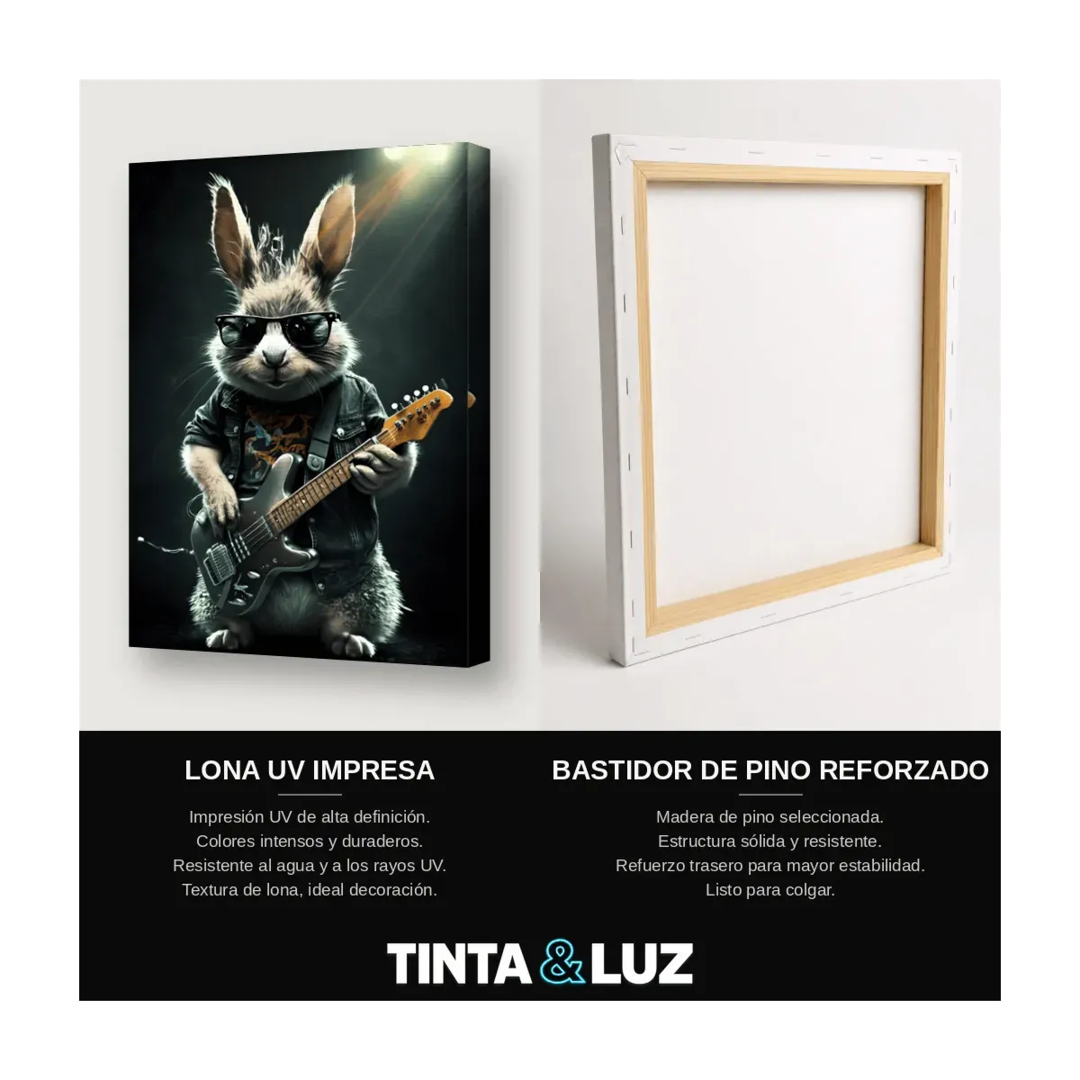 CONEJO GUITARRISTA