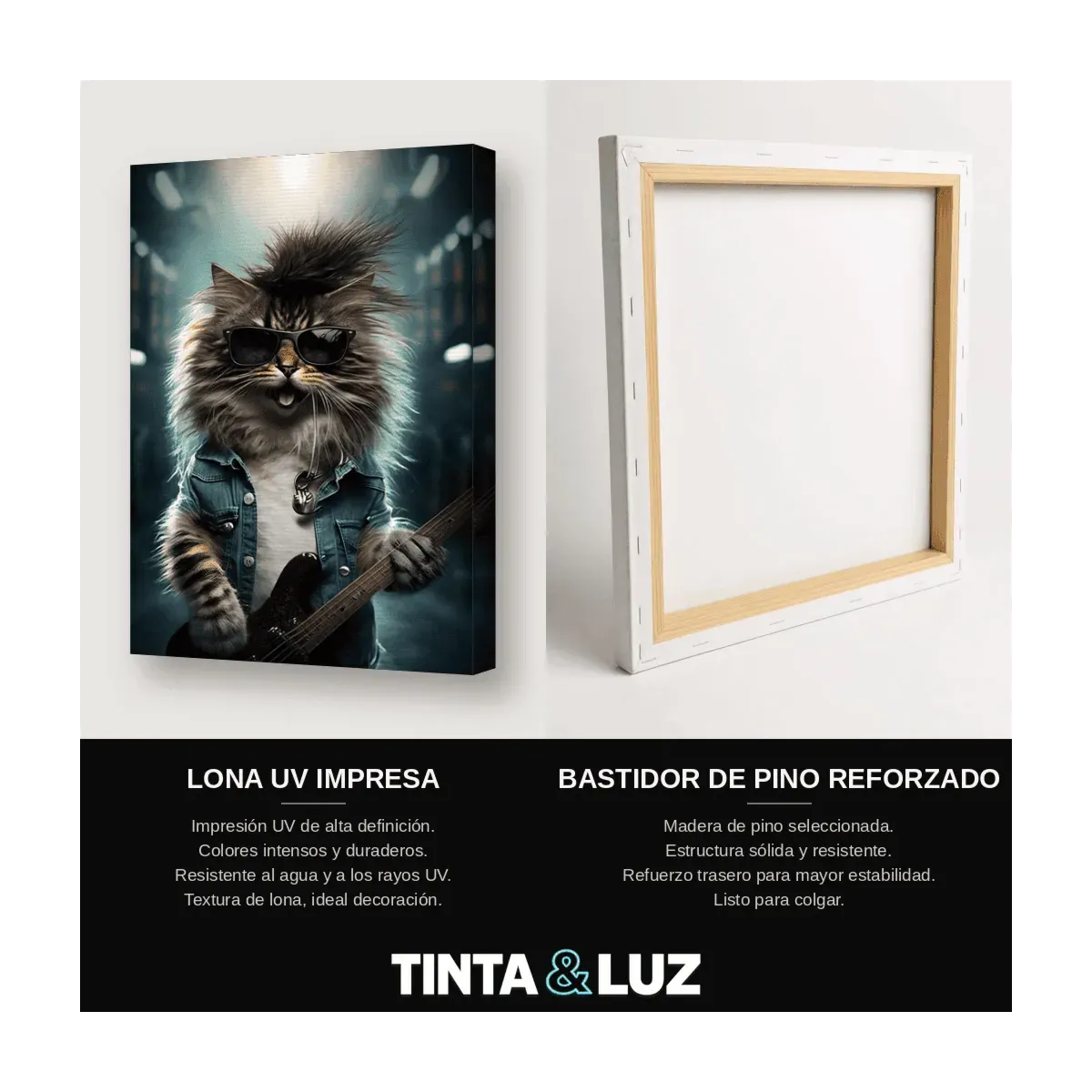 GATO PERSA ROCKERO