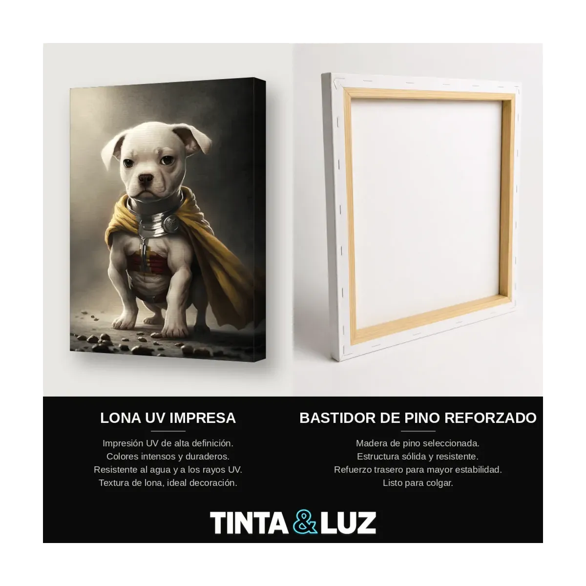 PERRO SUPERHÉROE