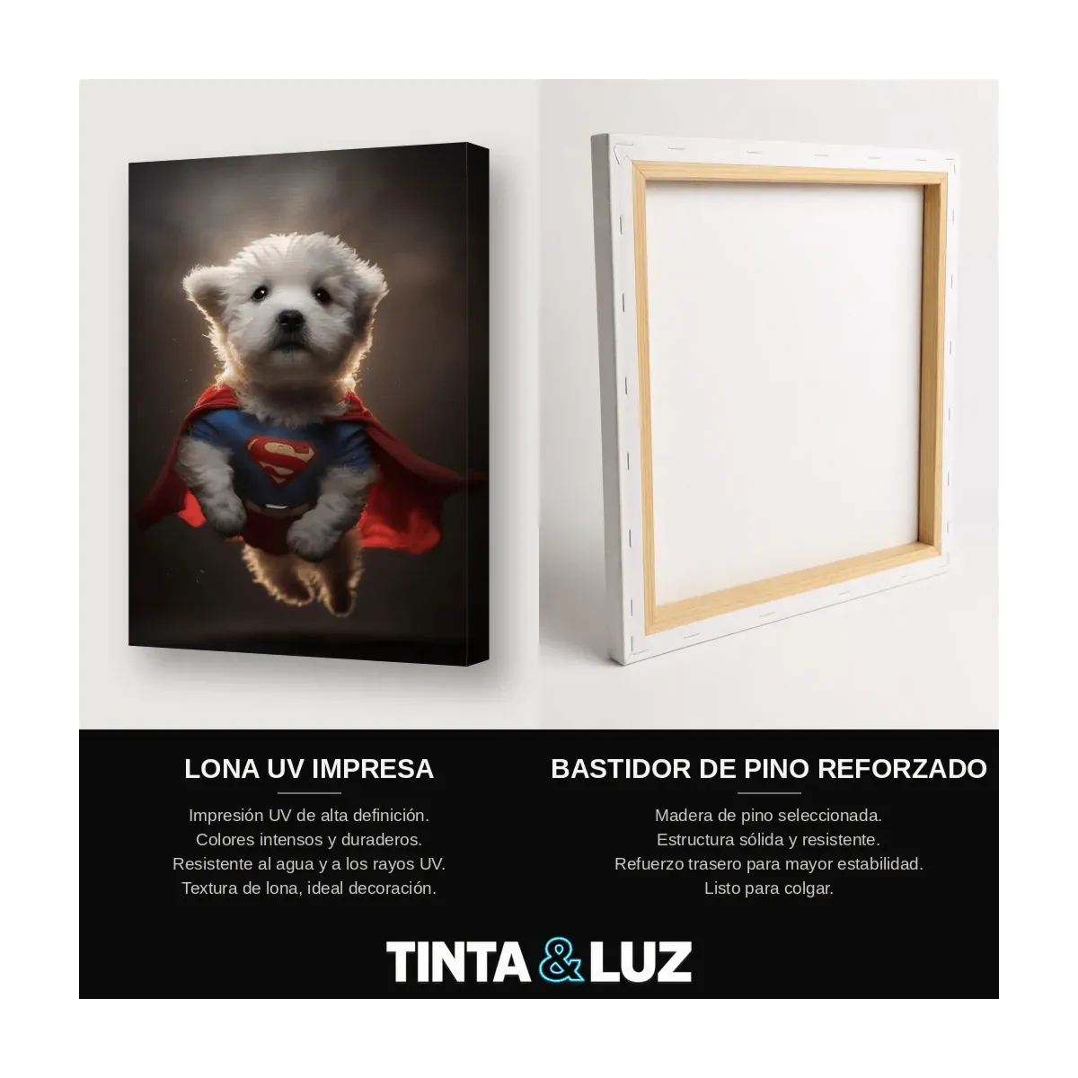 PERRO SUPERMAN