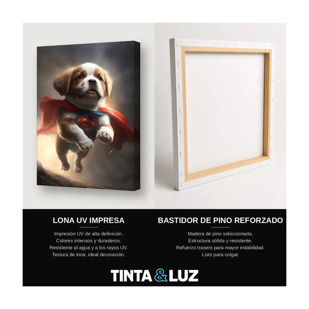 PERRO CAPA ROJA
