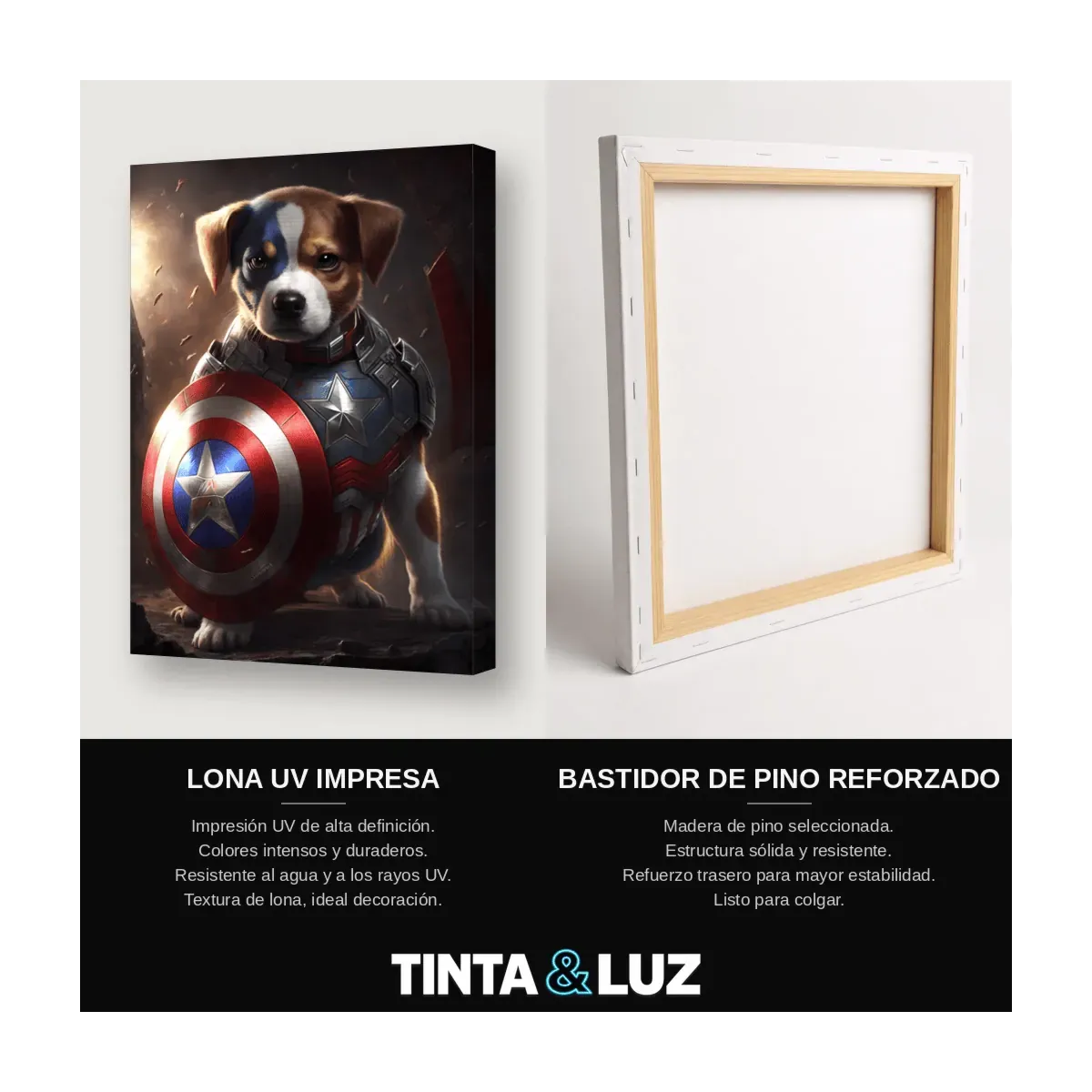 PERRO CAPITÁN AMÉRICA