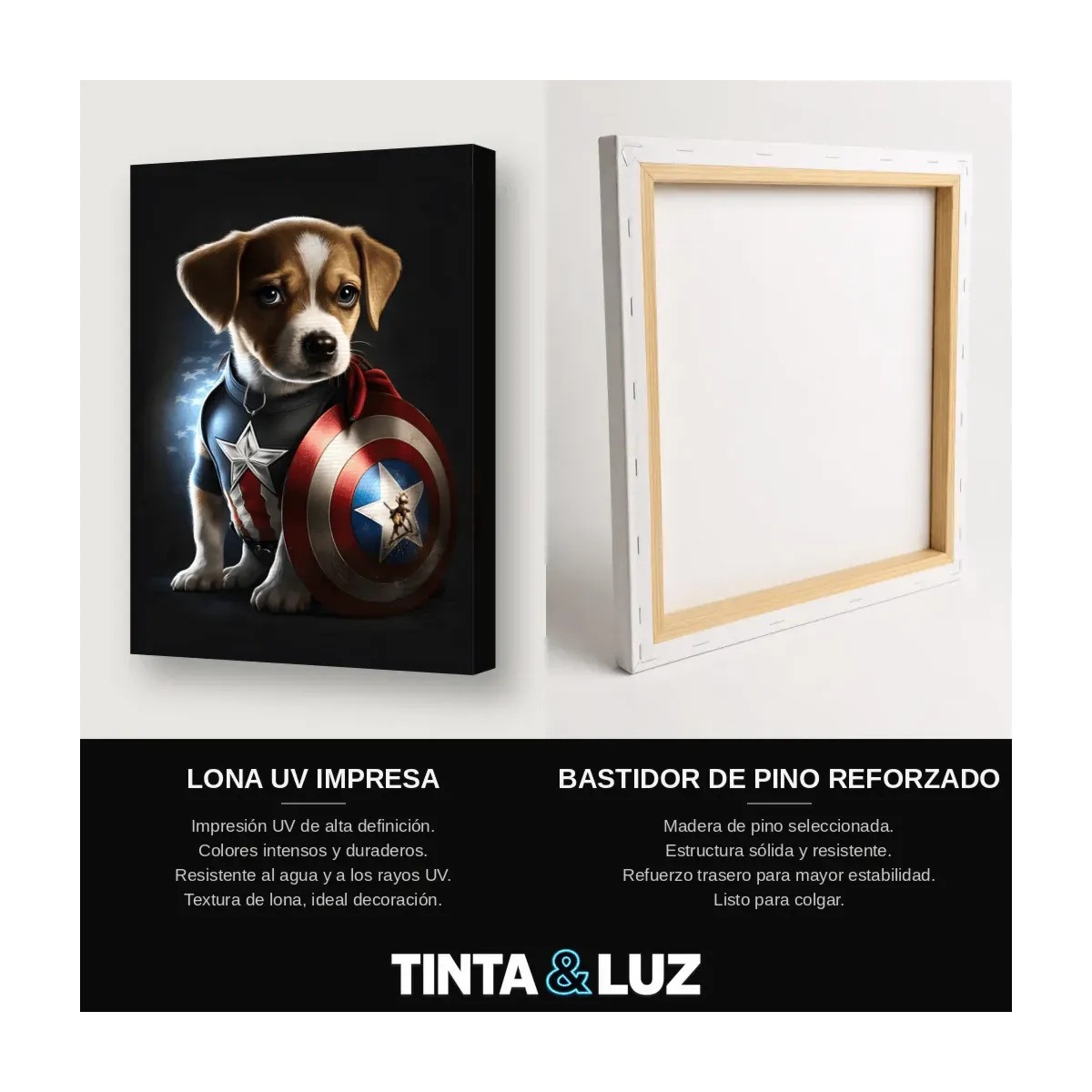 PERRO CAPITÁN AMÉRICA II