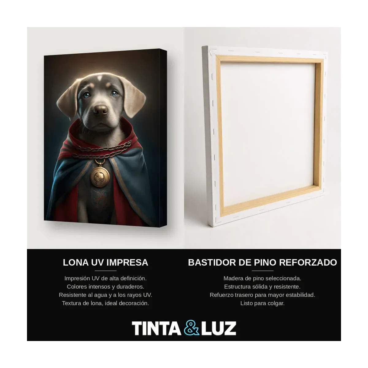 PERRO DR. STRANGE